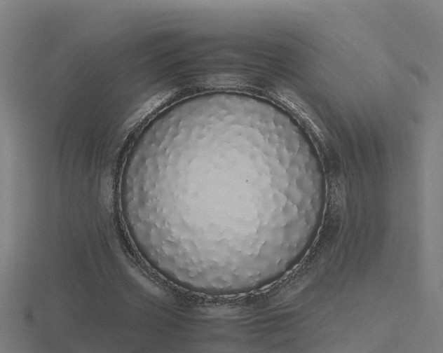 X0000116840533200912241230