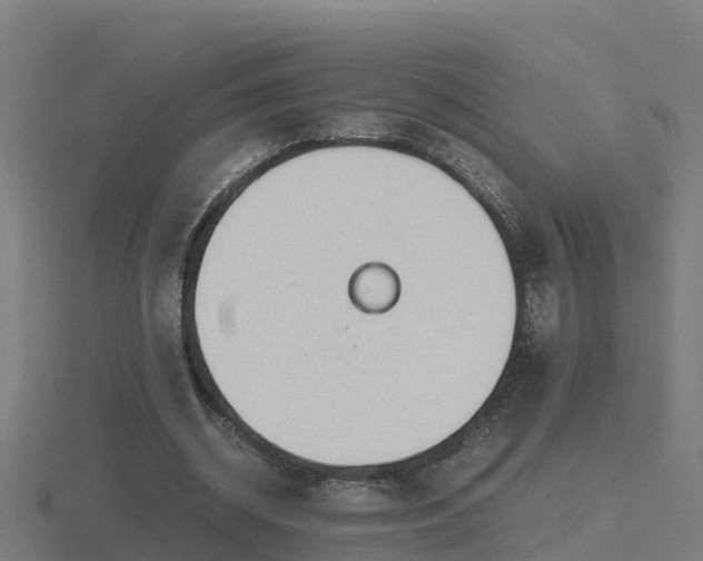 X0000116840534200912241230