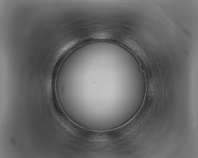 X0000116840535200912241230