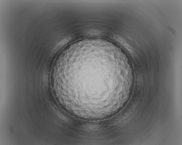 X0000116840537200912241230