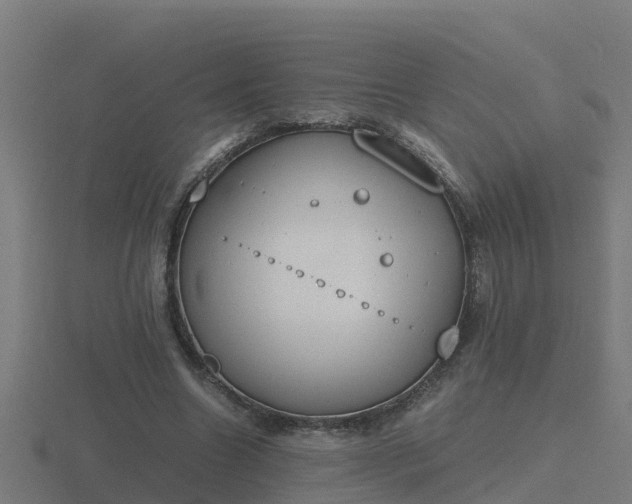 X0000116840538200912241230