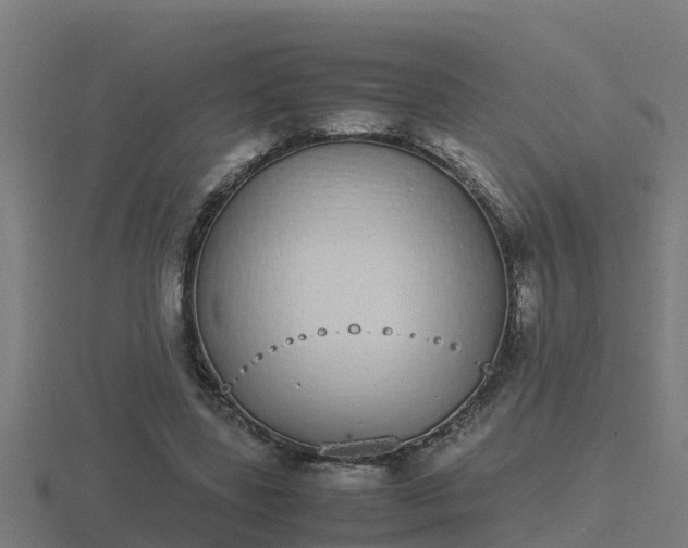 X0000116840539200912241230