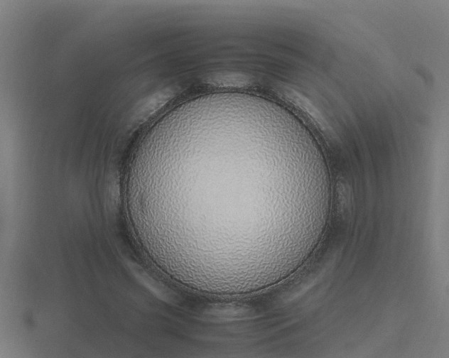 X0000116840541200912241230