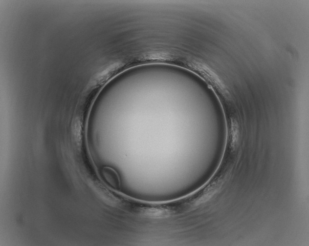 X0000116840542200912241230