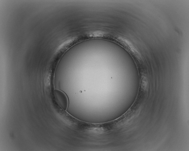 X0000116840543200912241230