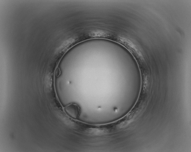 X0000116840545200912241230