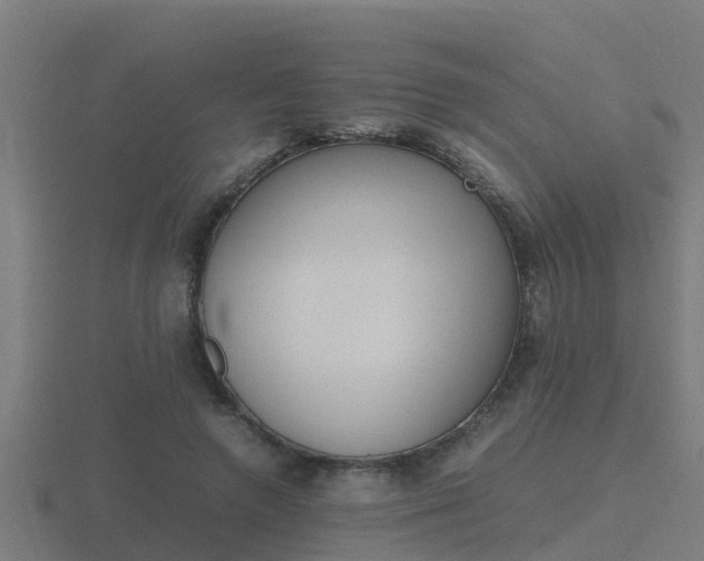 X0000116840546200912241230