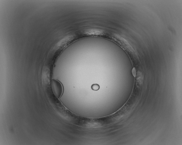 X0000116840547200912241230