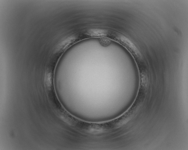 X0000116840549200912241230