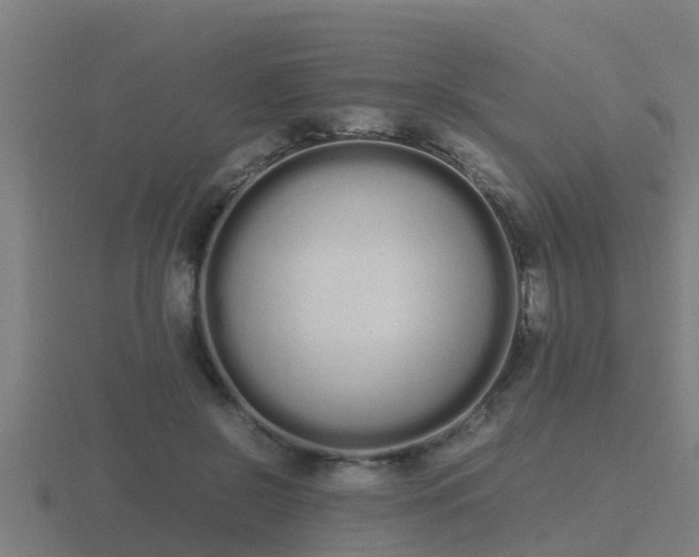 X0000116840550200912241230