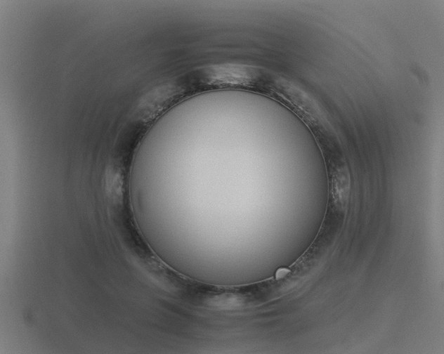 X0000116840551200912241230