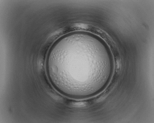 X0000116840553200912241230