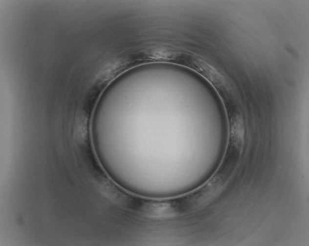 X0000116840554200912241230