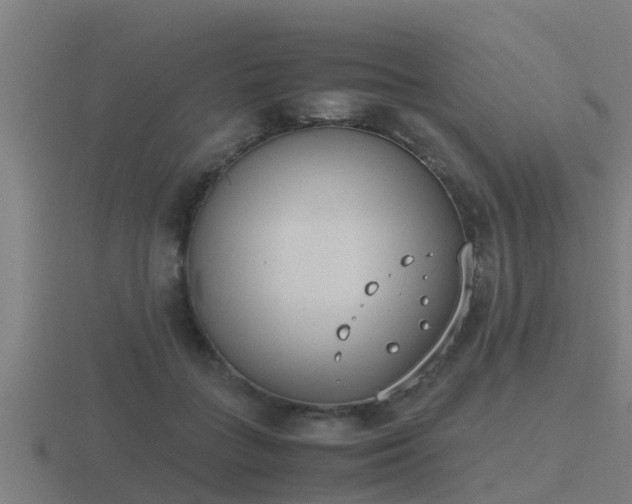 X0000116840555200912241230