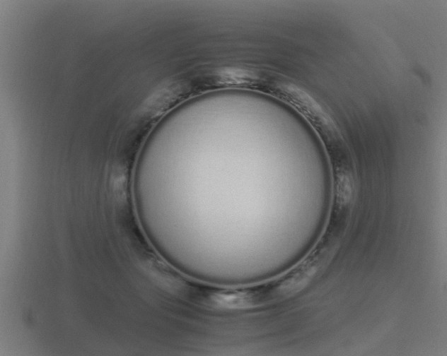 X0000116840557200912241230