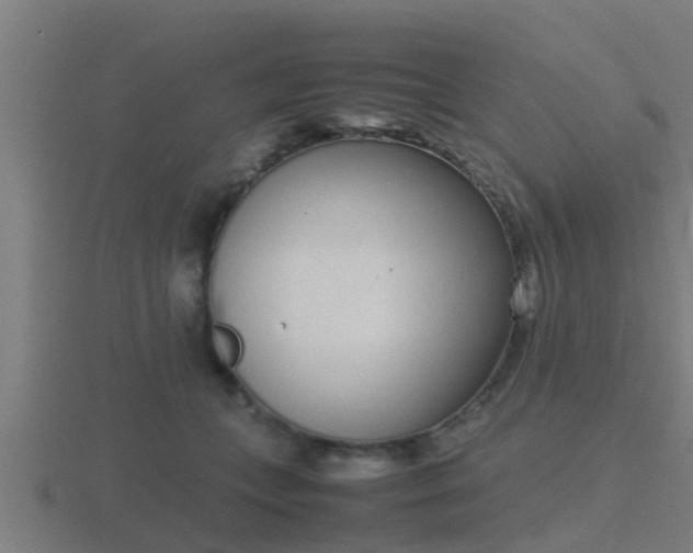 X0000116840559200912241230