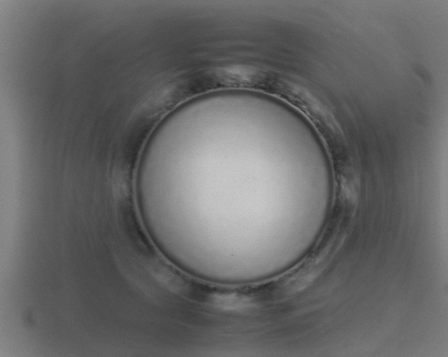 X0000116840561200912241230