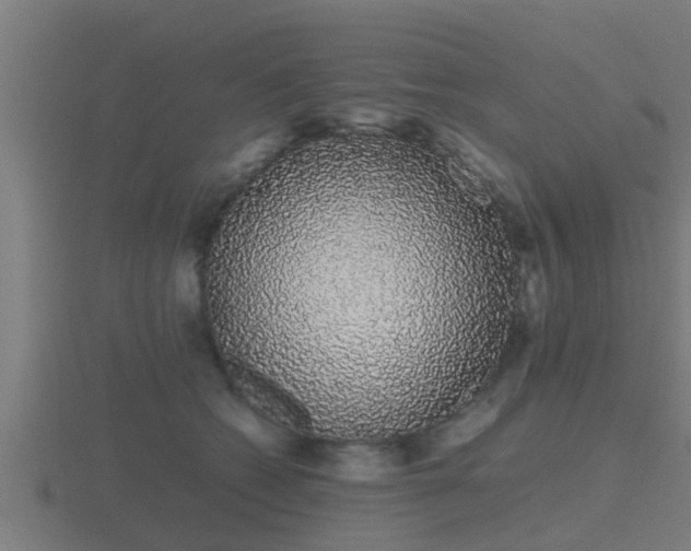 X0000116840562200912241230