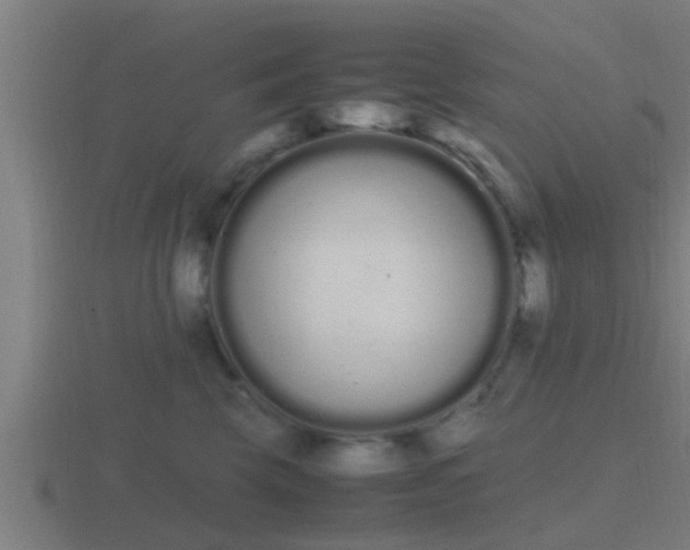 X0000116840569200912241231