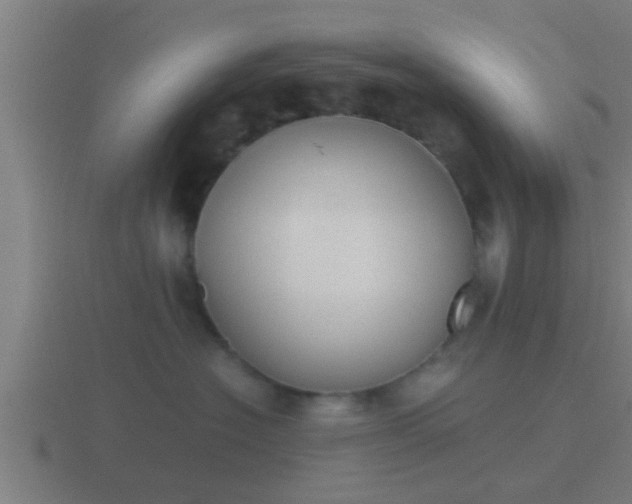 X0000116840574200912241231