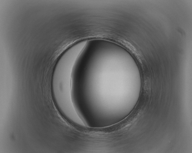 X0000116840577200912241230