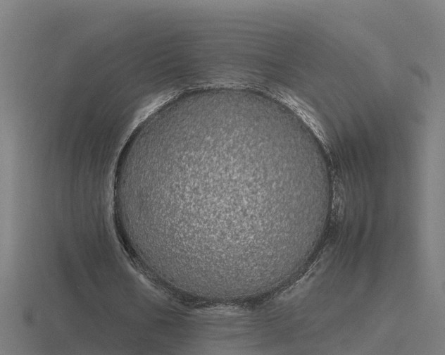 X0000116840578200912241230