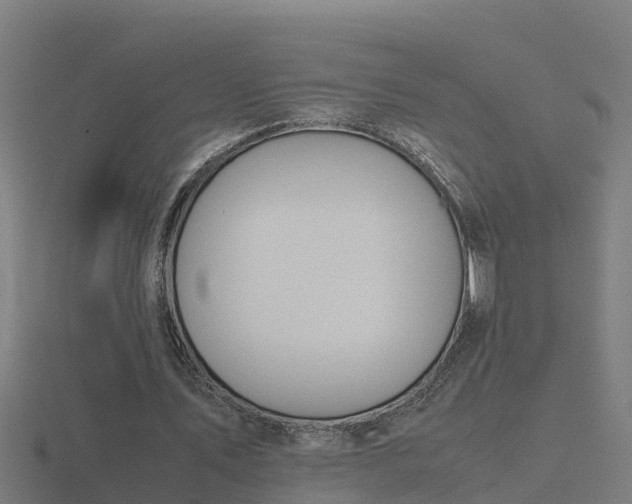 X0000116840579200912241230