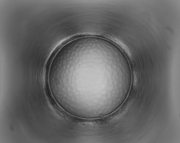 X0000116840580200912241230