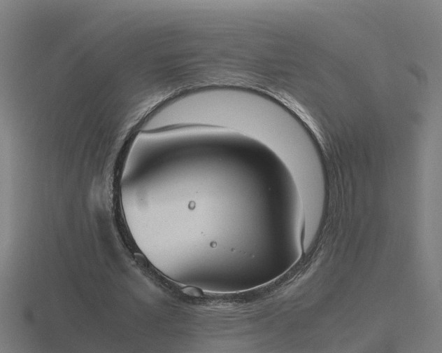 X0000116840581200912241230