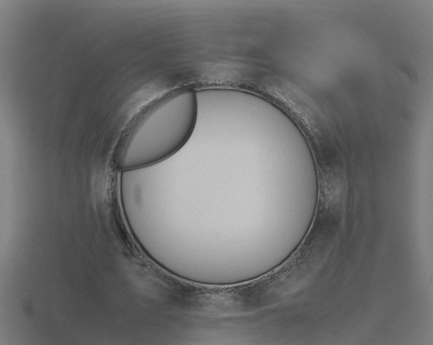 X0000116840583200912241230