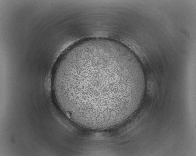 X0000116840584200912241230