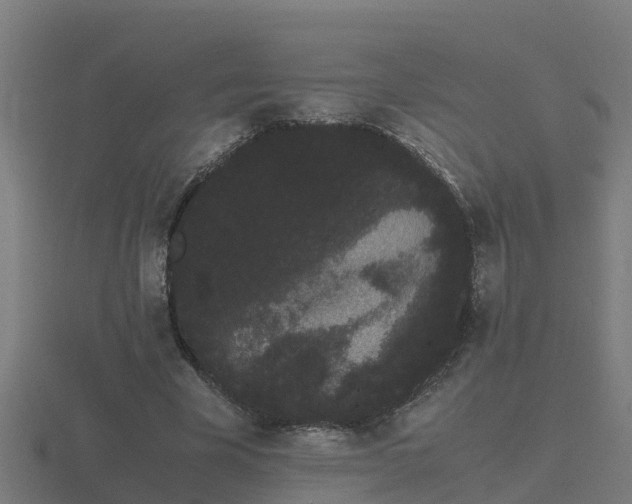 X0000116840585200912241230