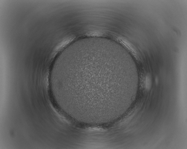 X0000116840586200912241230