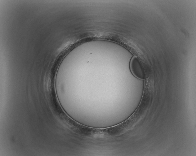 X0000116840587200912241230