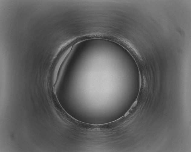 X0000116840588200912241230