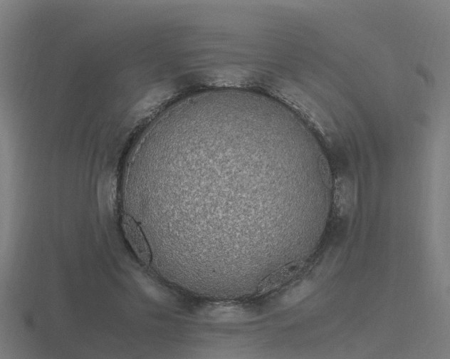 X0000116840589200912241230