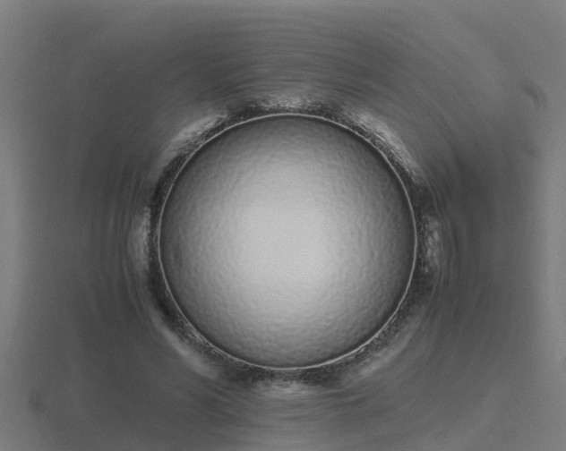 X0000116840590200912241230