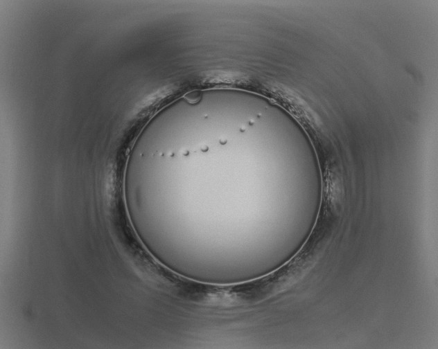 X0000116840591200912241230