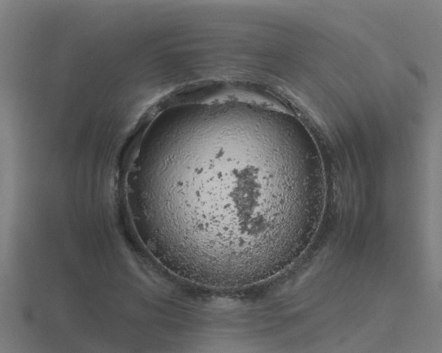 X0000116840592200912241230