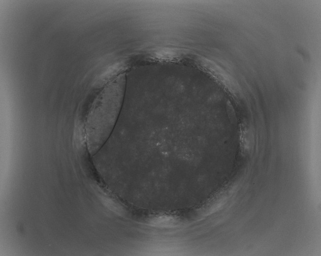 X0000116840593200912241230