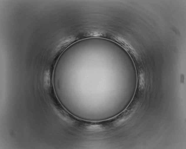 X0000116840594200912241230