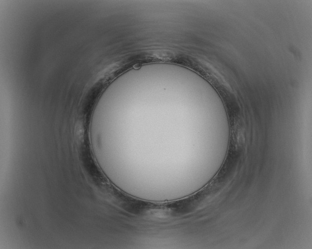 X0000116840595200912241230