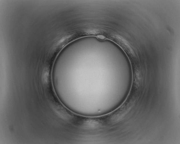 X0000116840596200912241230