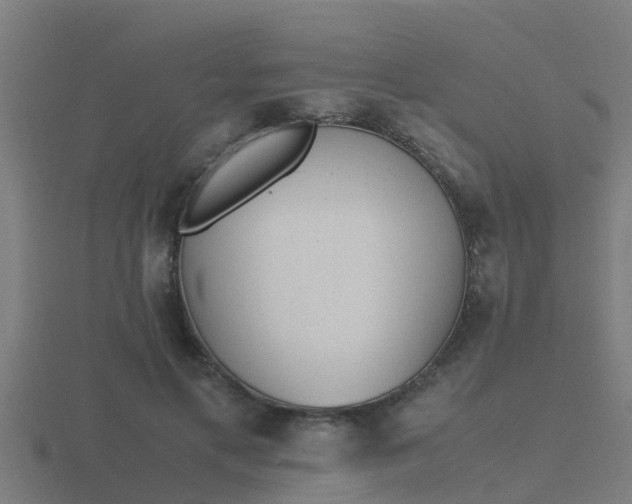 X0000116840597200912241230