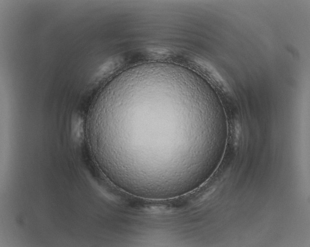 X0000116840598200912241230