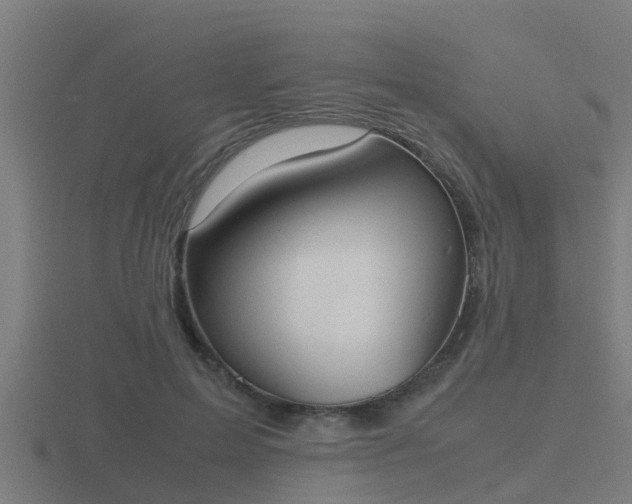 X0000116840599200912241230