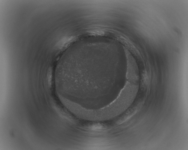 X0000116840600200912241230