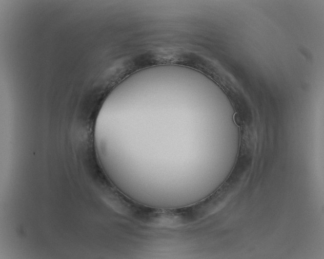 X0000116840601200912241230