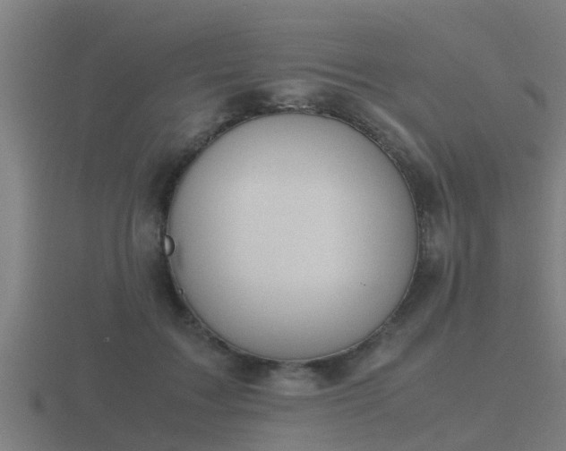 X0000116840603200912241230