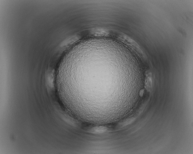 X0000116840604200912241230